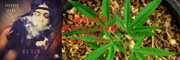 тгк Надым