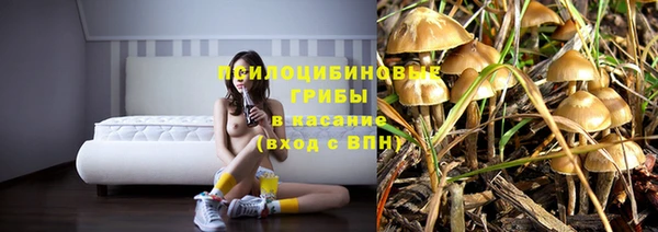 соль курить ск Бежецк